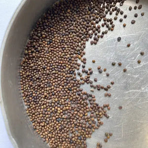 birds-foot trefoil seeds