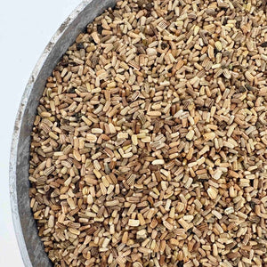 corn marigold seeds Corn Marigold Seeds (Glebionis segetum) – Kent Seeds