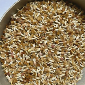 cornflower seeds