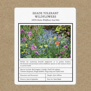 perennial wildflower seeds for shade Shade Tolerant Wildflower Mix – Kent Seeds