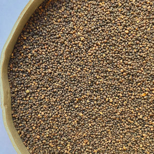 Lady's bedstraw seeds