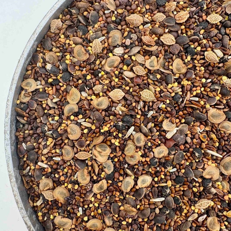 Low Growing Wildflower Mix