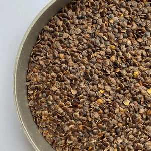 meadow buttercup seeds
