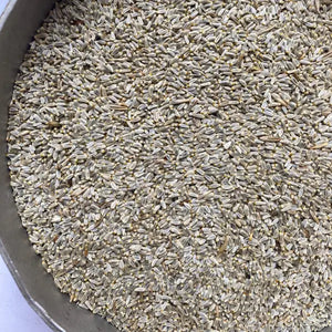 oxeye daisy seeds
