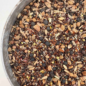 wildflower seeds for shaded areas uk Shade Tolerant Wildflower Mix – Kent Seeds