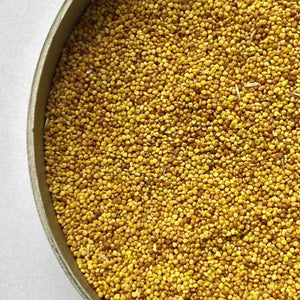 wild white clover seeds