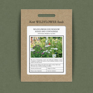 wildflower seeds in containers Wildflowers for Window Boxes and Containers – Kent Seeds